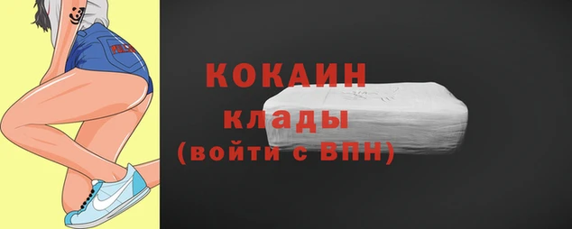 стаф Каменск-Шахтинский