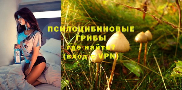 стаф Каменск-Шахтинский