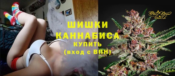 стаф Каменск-Шахтинский