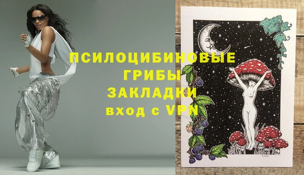 стаф Каменск-Шахтинский