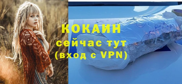 МДМА Каменка