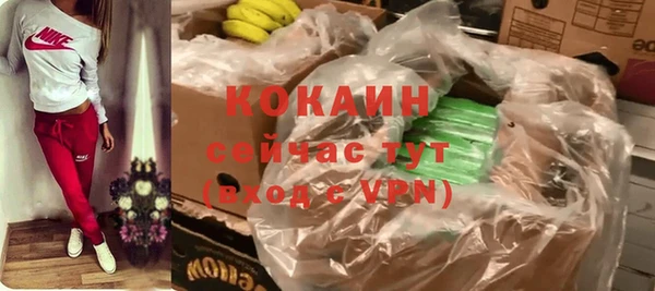 стаф Каменск-Шахтинский